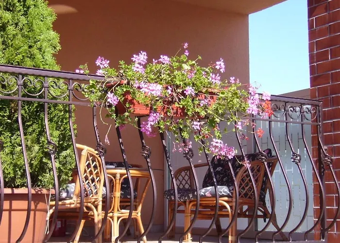 Korona 3* シャールヴァール